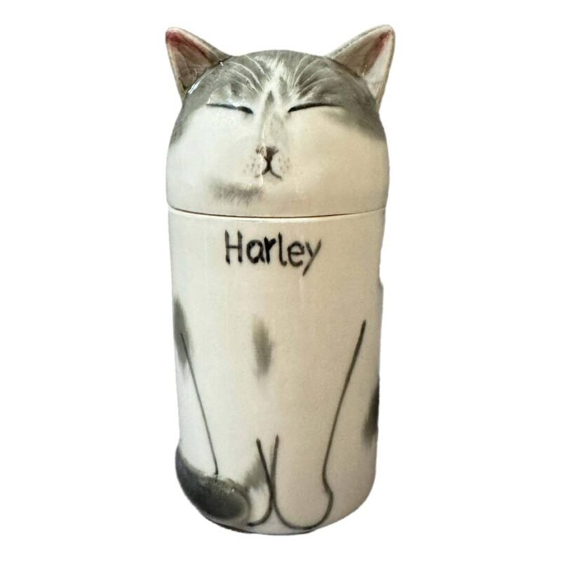 Small size，cat within 15kg，Custom Painted Ceramic Cat. Suitable for medium & small sized cats. Siamese、Oriental Shorthair、Devon Rex、Japanese Bobtail、Bombay、British Shorthair、American Shorthair、Russian Blue、Bombay、Siamese - Image 5