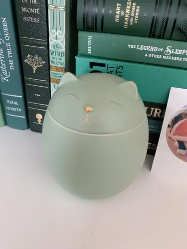 Simple cat lid Ceramic Urn for Pets,2 Sizes,5 Colors photo review