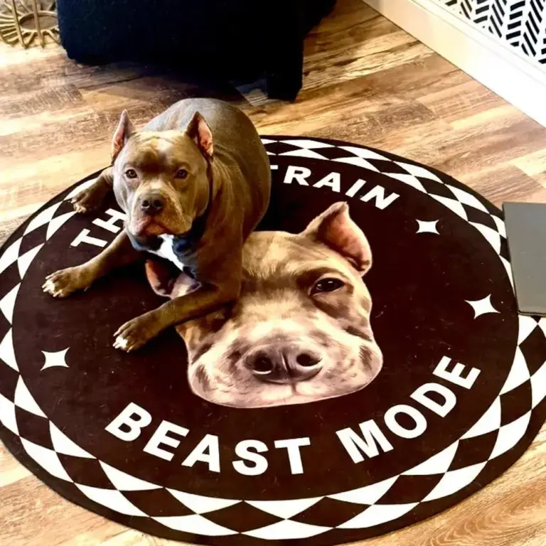 Custom Pet Portrait Rug,Pet Portrait tapestry photo review