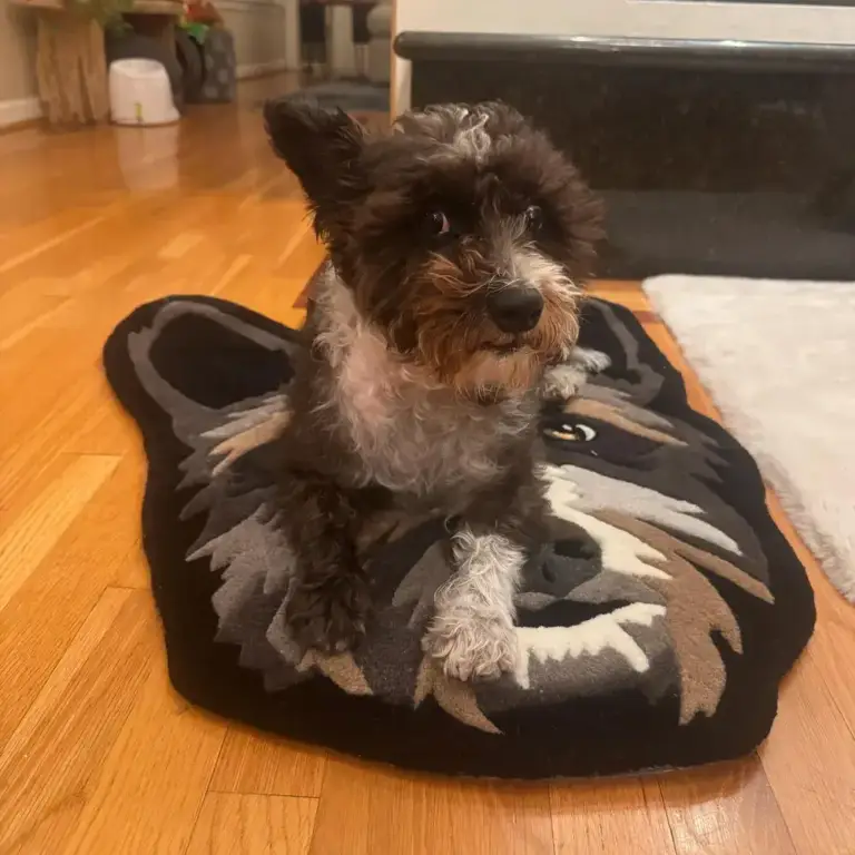 Custom Pet Portrait Rug,Pet Portrait tapestry photo review