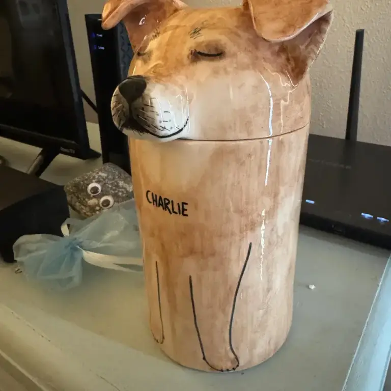 Middle Size, Dog within 35KG. Custom Painted Ceramic Pet Dog. Suitable for medium & Small sized pet dogs.Border Collie、Corgi、Shiba Inu、Samoyed、Boxer、Bulldog、Cocker Spaniel、Australian Cattle Dog photo review