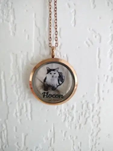 Personalized Pet Fur Keepsake Necklace with Portrait | Pet Portrait Keychain | Memorial Jewelry photo review