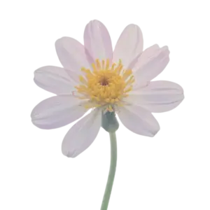 Artificial flower