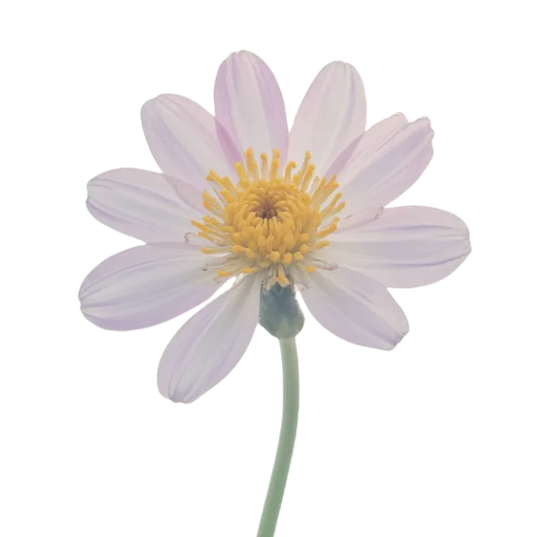 Artificial flower