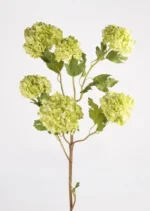 Craflzy-Snowball-Hydrangea-20250525-Green-Snowballs Faux GREEN Hydrangea,Faux Hydrangea Stems