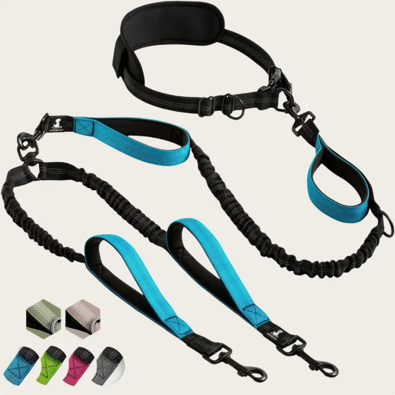 Hands-Free Double Dog Leash describe-blue