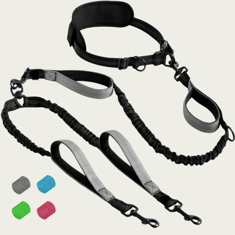 Hands-Free Double Dog Leash describe-gray