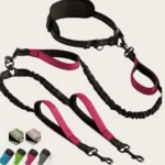 Hands-Free Double Dog Leash describe-rose