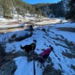 Hands-Free Double Dog Leash, Running with 2 Pets Easily, Upgraded & Giveaway 2 Collars photo review