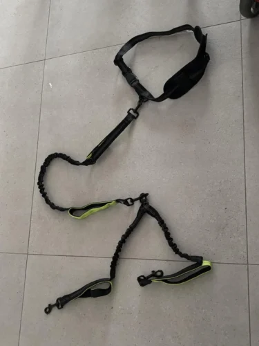 Hands-Free Double Dog Leash, Running with 2 Pets Easily, Upgraded & Giveaway 2 Collars photo review