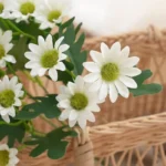 Artificial Daisy Flowers, Autumn Artificial Flowers 9 Artificial Daisy Flowers (5PCS) – lifelike silk daisies in vibrant autumn colors. Zero maintenance, durable, perfect for home, wedding, or Christmas decor.