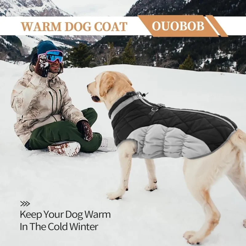 Waterproof dog winter coat with built-in harness, 7 sizes. Reflective, warm fleece, pockets – ideal for small to large dogs in cold, rainy weather.