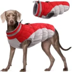 Waterproof dog winter coat with built-in harness, 7 sizes. Reflective, warm fleece, pockets – ideal for small to large dogs in cold, rainy weather.