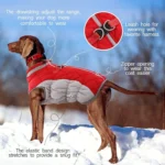 Waterproof dog winter coat with built-in harness, 7 sizes. Reflective, warm fleece, pockets – ideal for small to large dogs in cold, rainy weather.