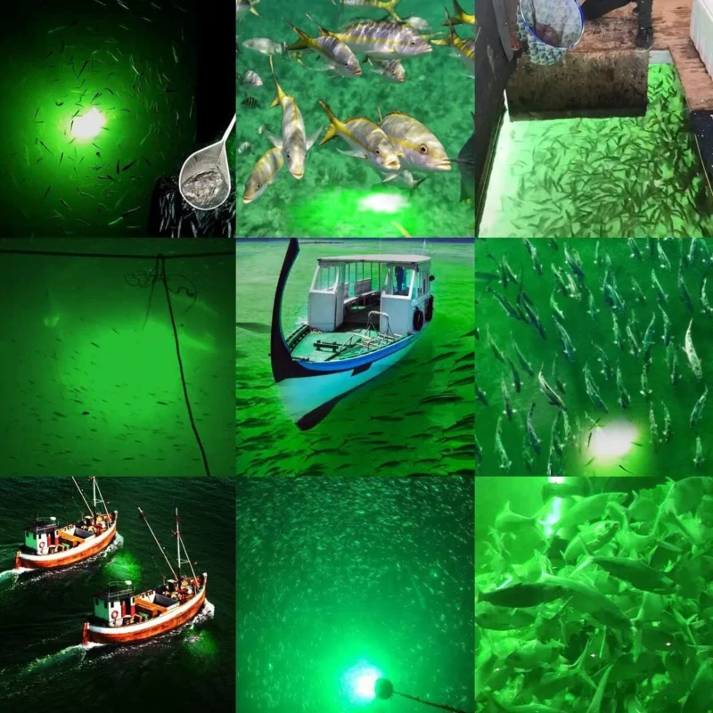Fishing-Lights-For-Night-Fishing​-IP68-12V-30WLED-Underwater-Fishing-Light-2000-Lumens-Fish-Attracting-Light-Night-Fishing-Lights