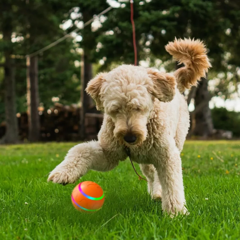 Interactive Dog Toys​ Dog Ball, Durable Motion Activated Automatic Rolling Ball Toys for/Small/Medium/Large Dogs