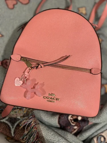 New-16 COLORS, Balloon Dog Keyring, Balloon Dog keychain​,Cute Puppy Keychains, Bag Pendants, Accessories for Backpack, Handbag, Car Keys photo review