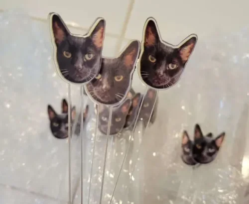 Custom Drink Stirrers, Custom Pet Drink Stirrers, Acrylic, Wedding|Party|Gift photo review