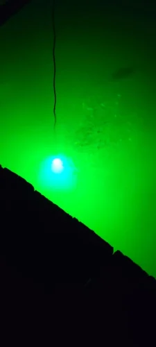 Fishing Lights For Night Fishing​, IP68-12V-30WLED Underwater Fishing Light 2000 Lumens Fish Attracting Light, Night Fishing Lights photo review