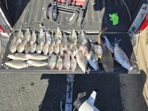 Fishing Lights For Night Fishing​, IP68-12V-30WLED Underwater Fishing Light 2000 Lumens Fish Attracting Light, Night Fishing Lights photo review