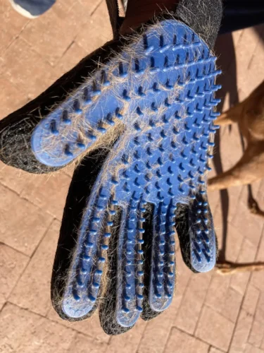 Pet Grooming Glove, Pet Grooming Gloves For Dogs ,For Cats,Pet Glove Groomer​ photo review